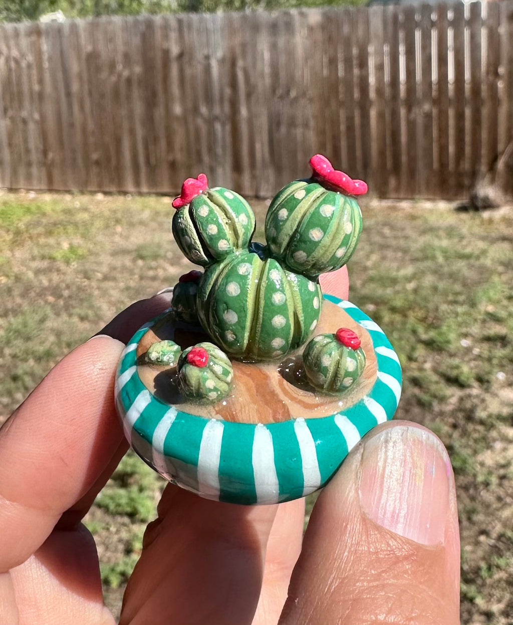Pocket Desert