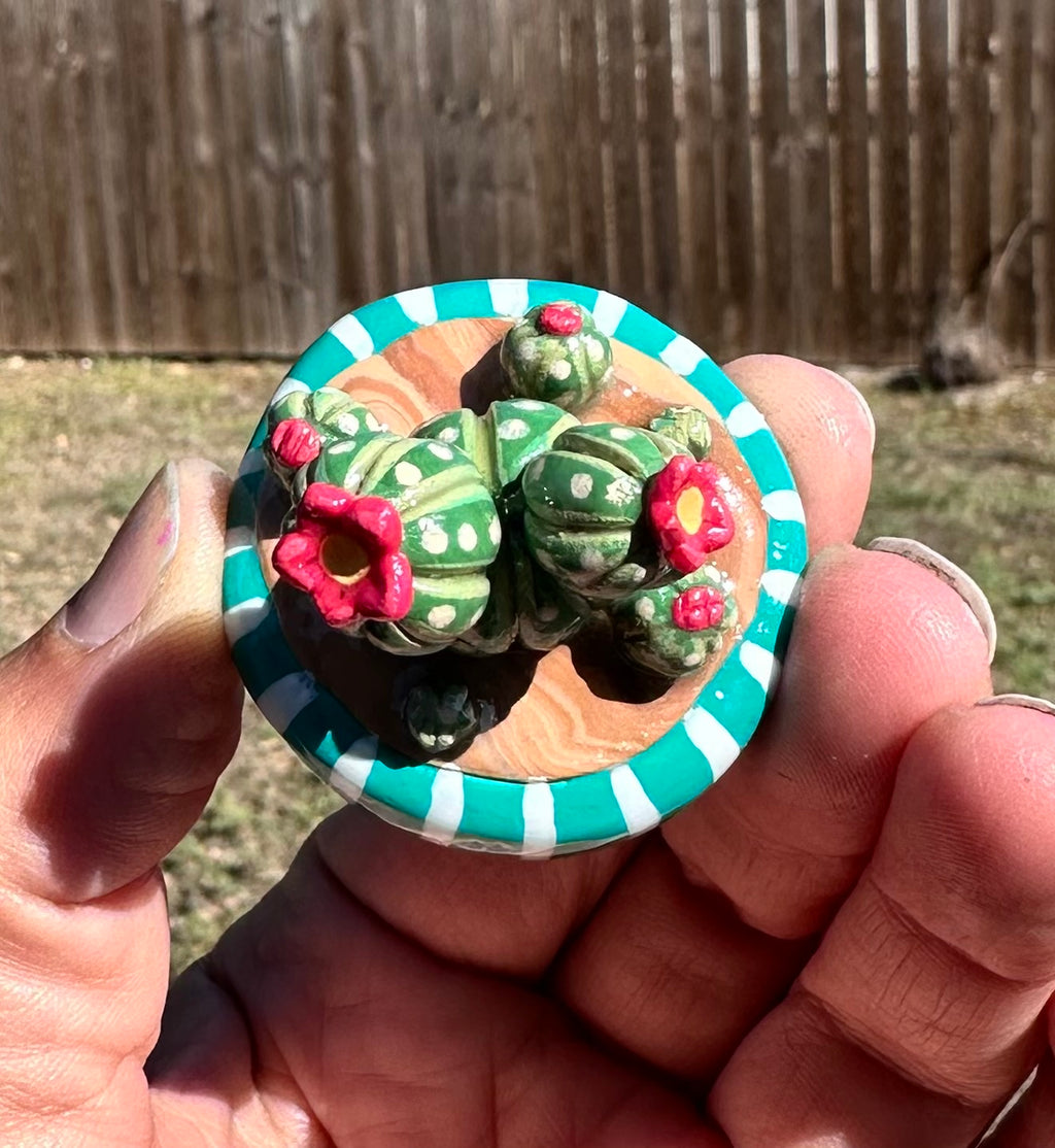 Pocket Desert
