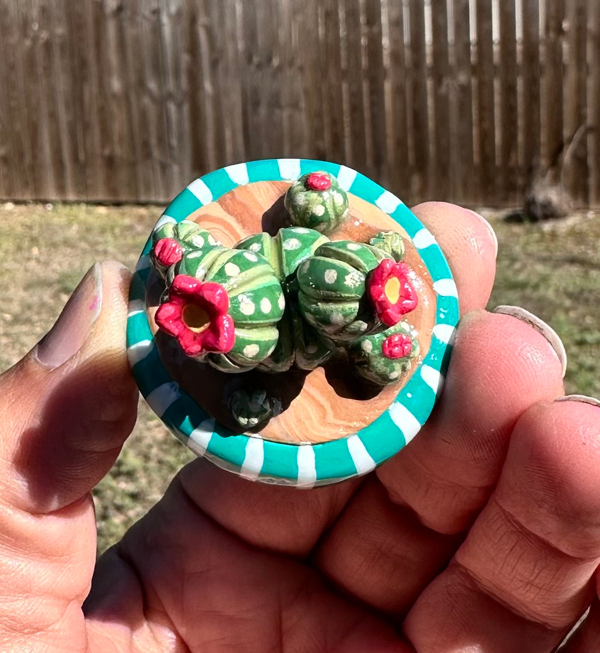 Pocket Desert