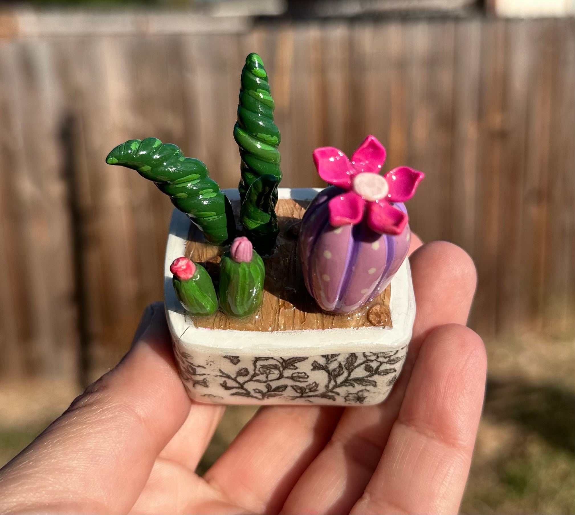 Little Oasis
