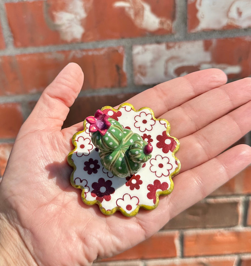 Little Prickly, Lots of Pretty