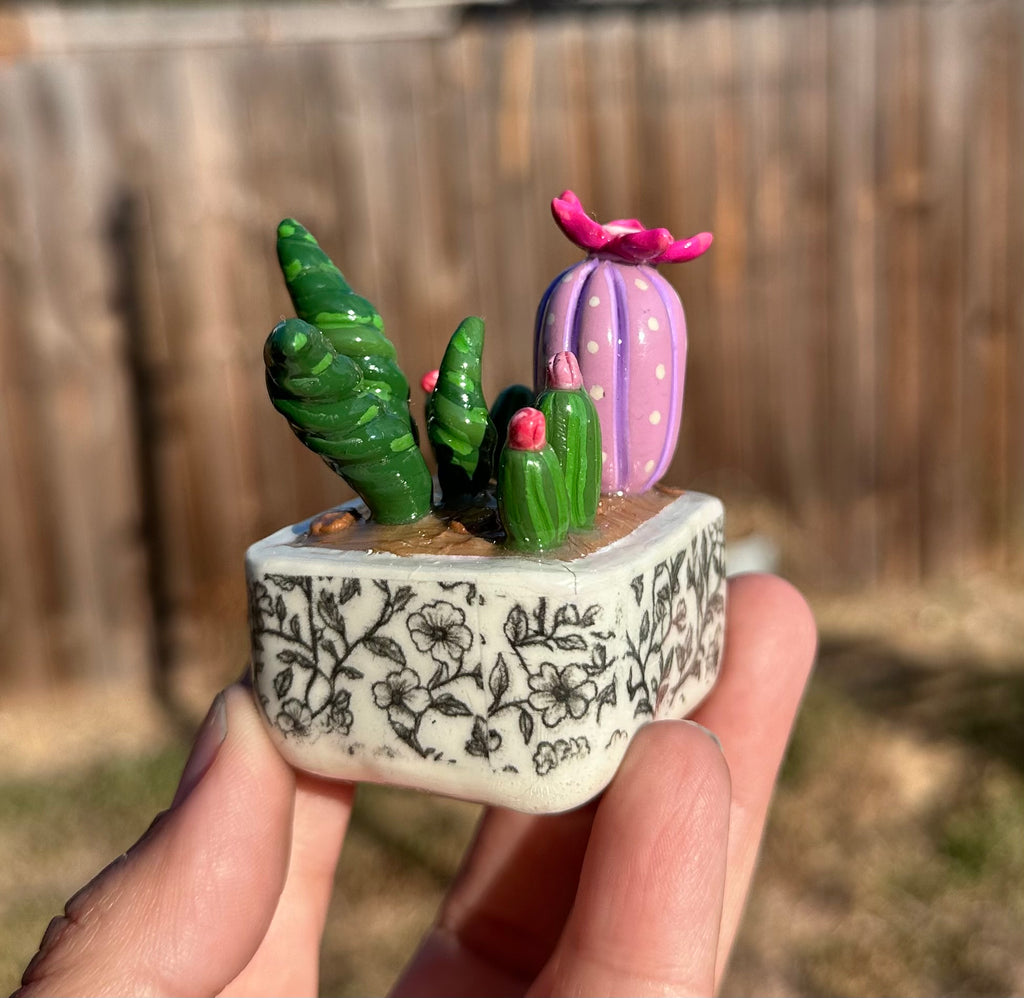 Little Oasis