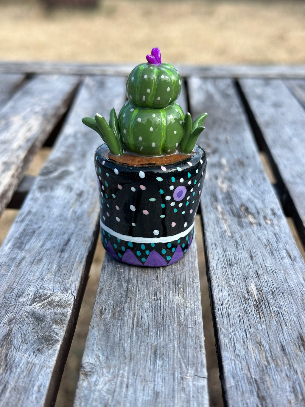 Midnight Bloom