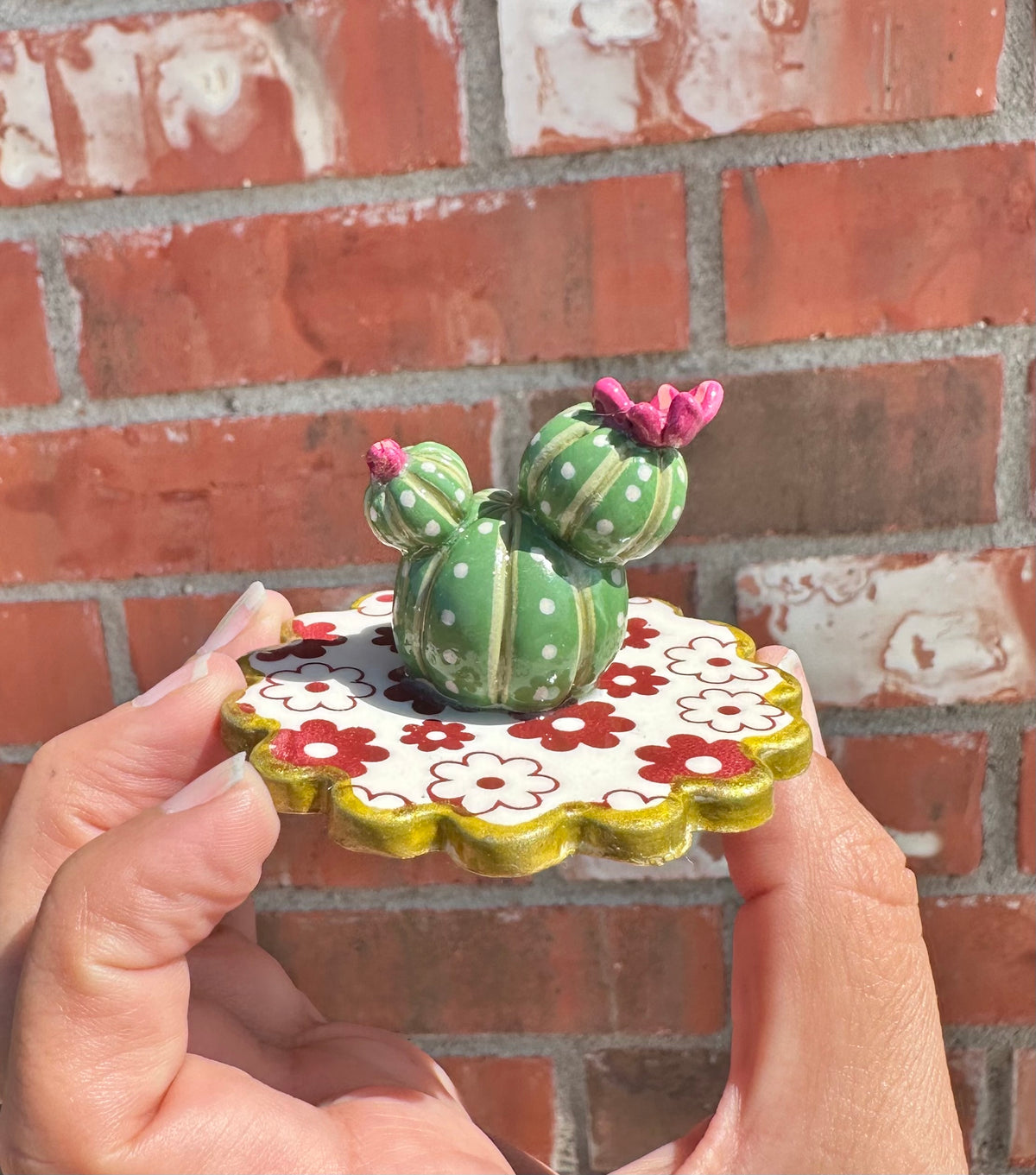 Little Prickly, Lots of Pretty