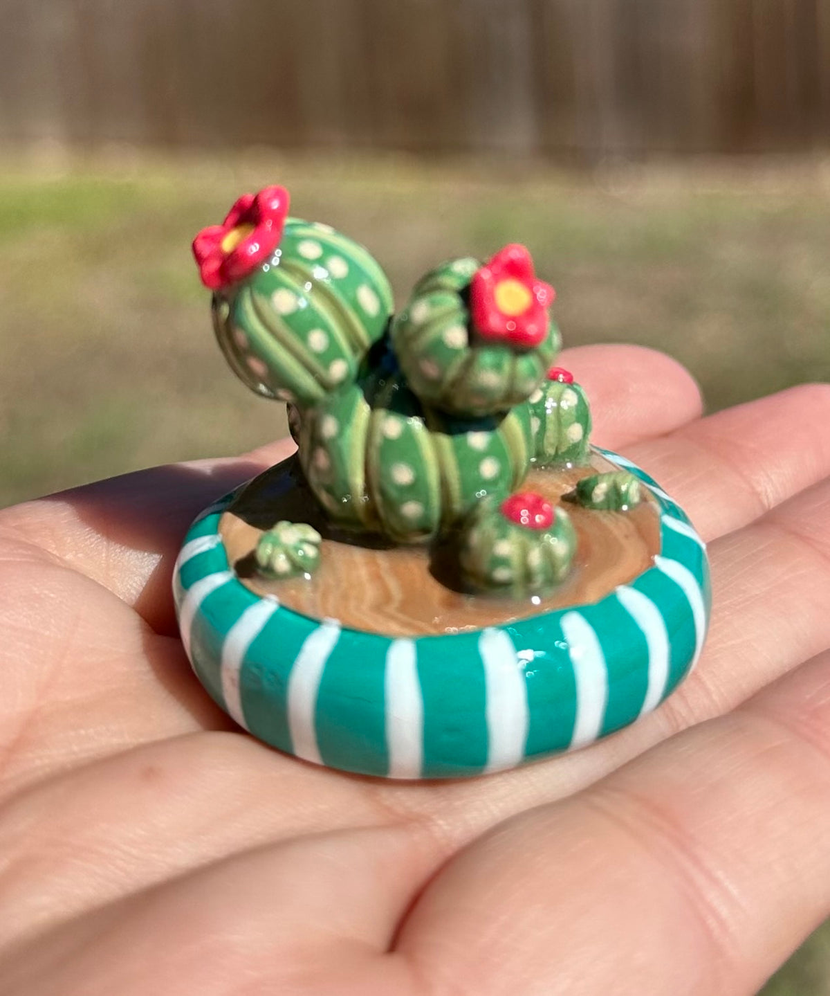 Pocket Desert