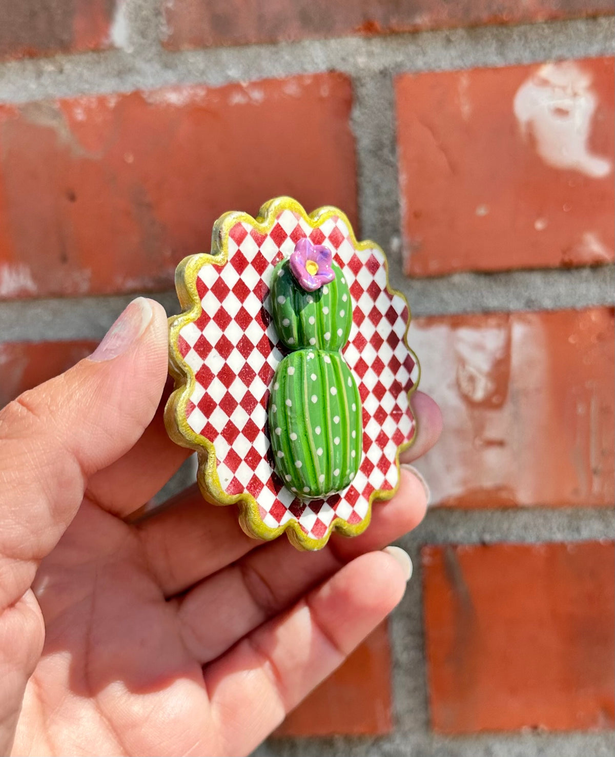 Checkered cactus cutie