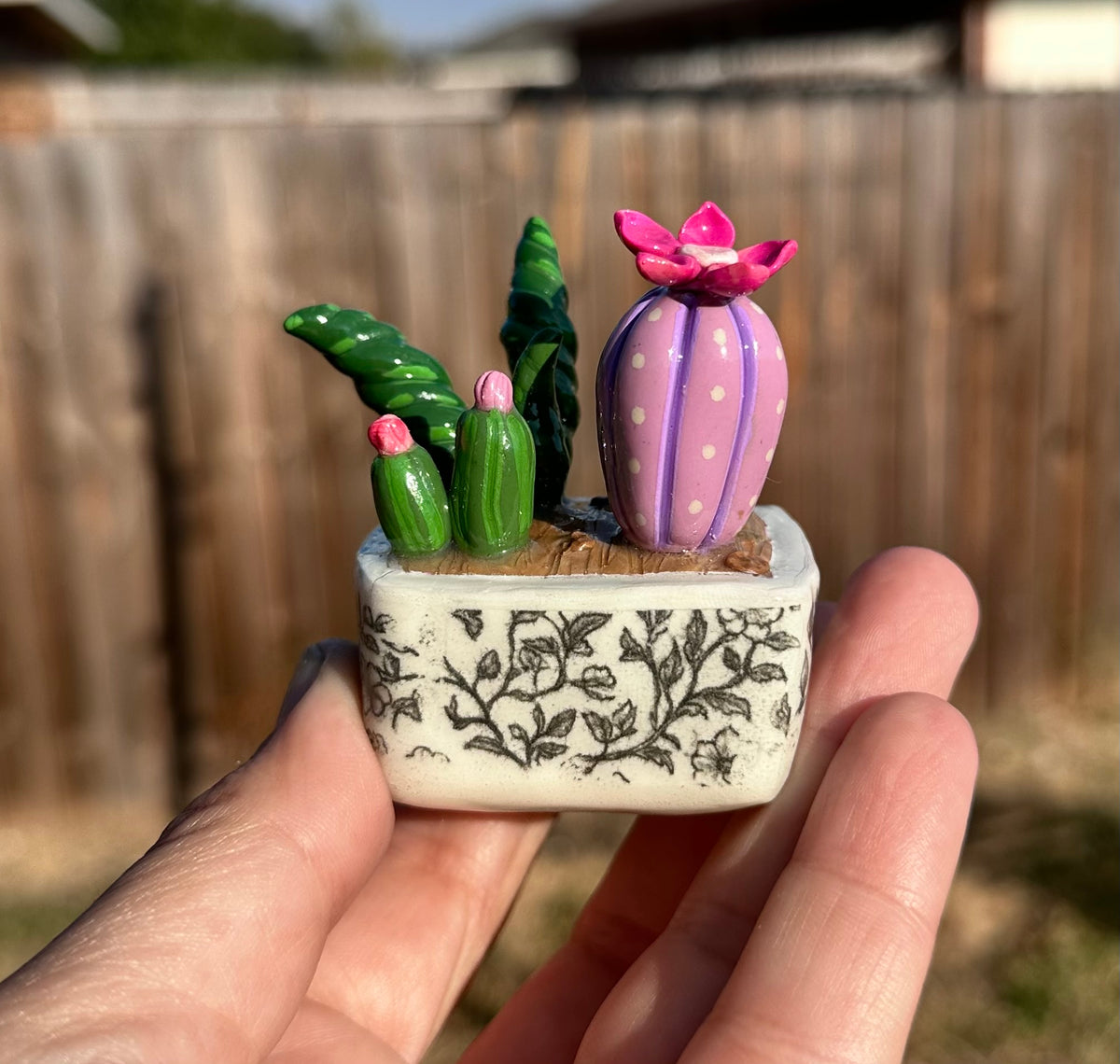Little Oasis