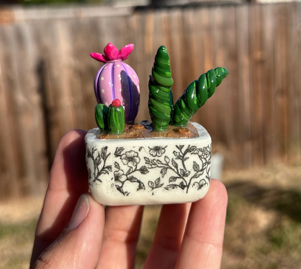 Little Oasis