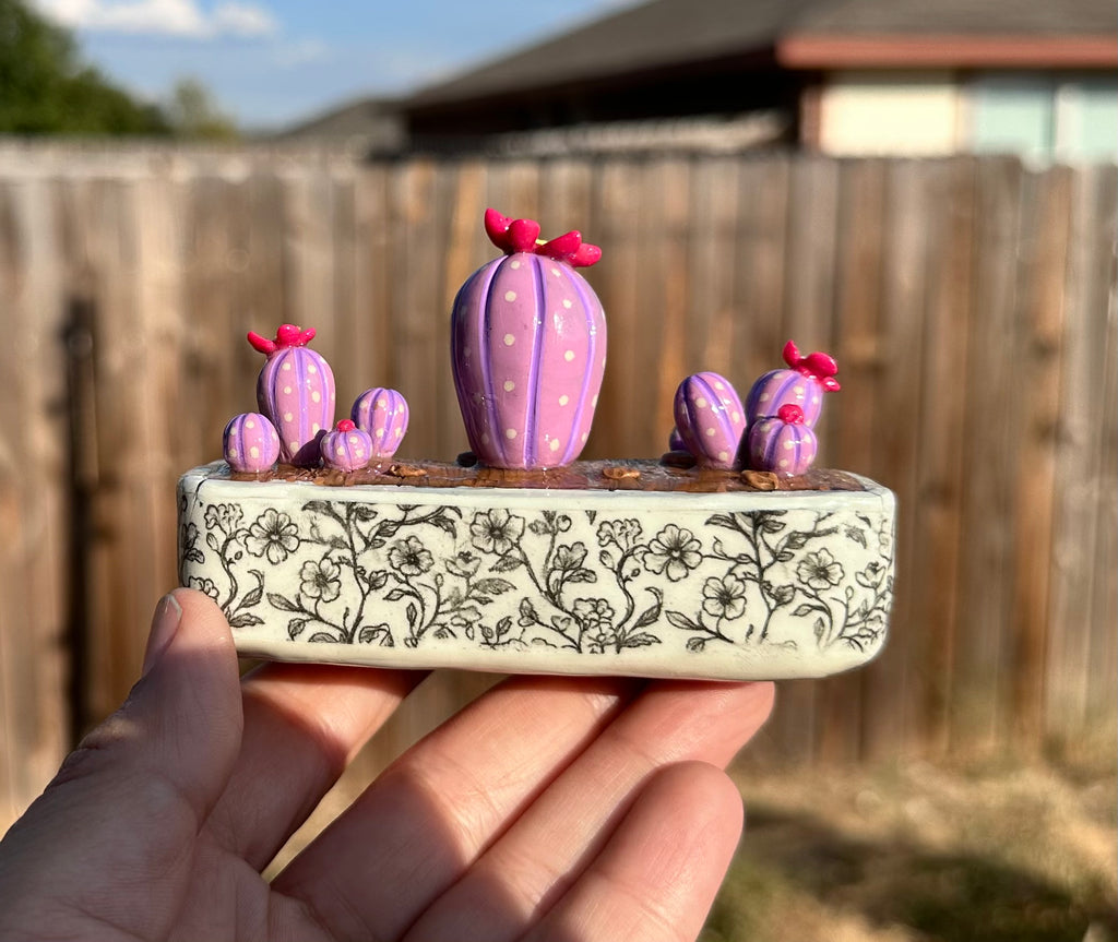 Purple Prickly Paradise
