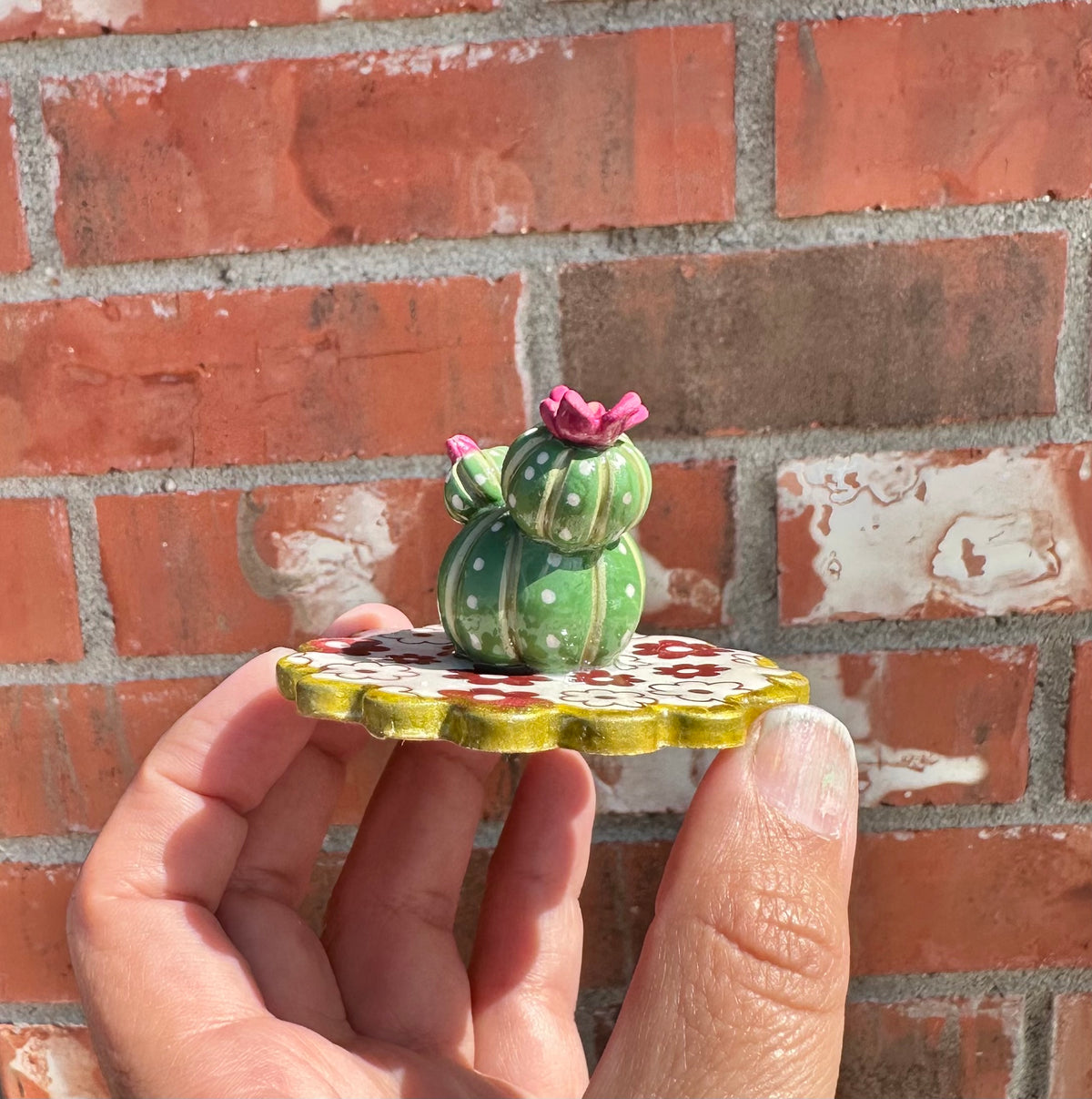 Little Prickly, Lots of Pretty