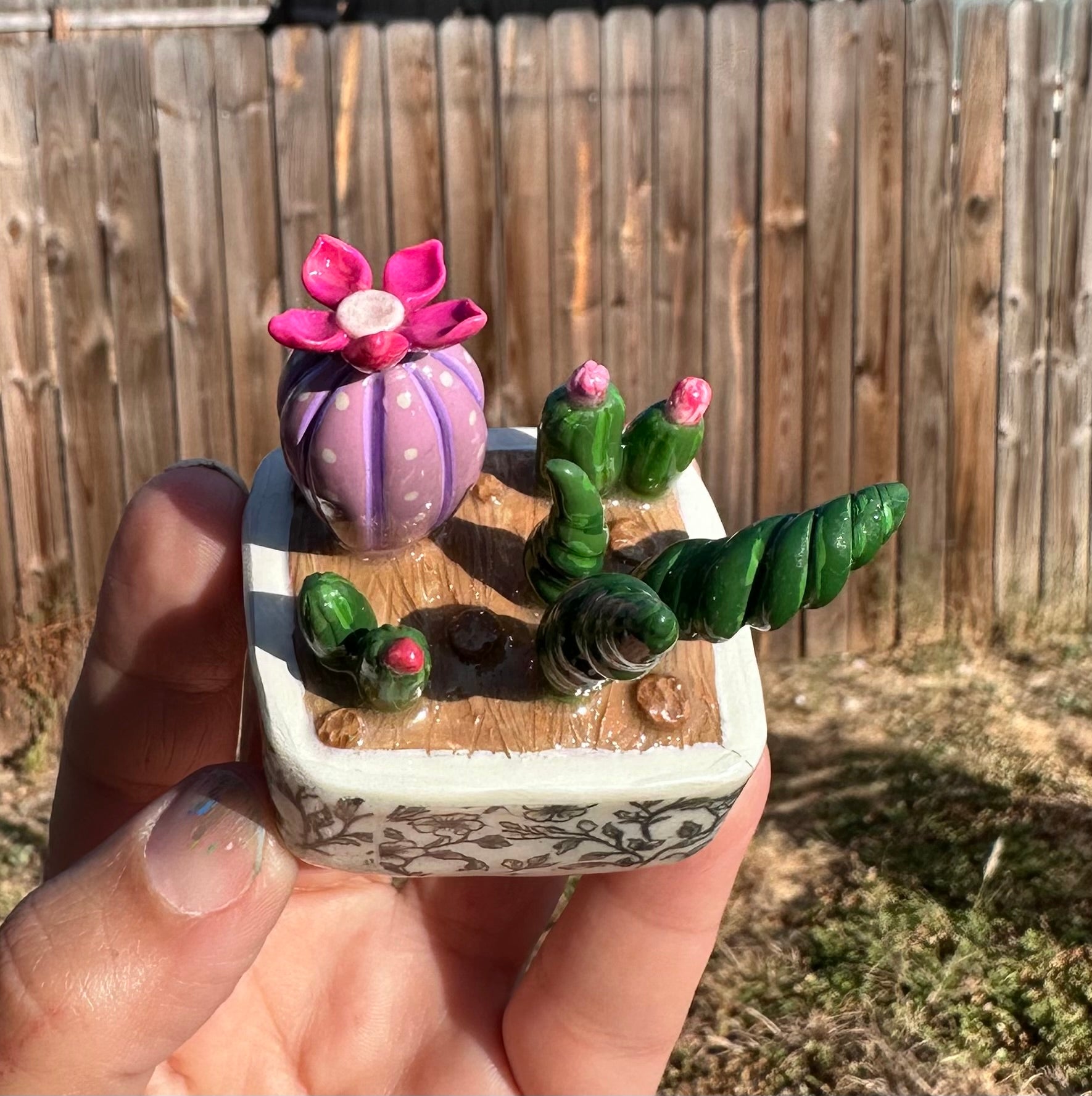 Little Oasis