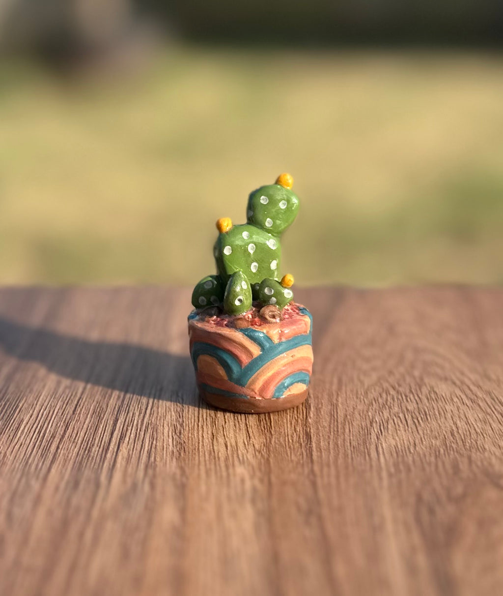 Desert sunset pot