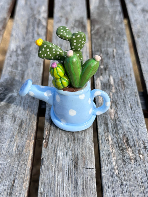 Baby blue watering can