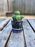 Midnight Bloom