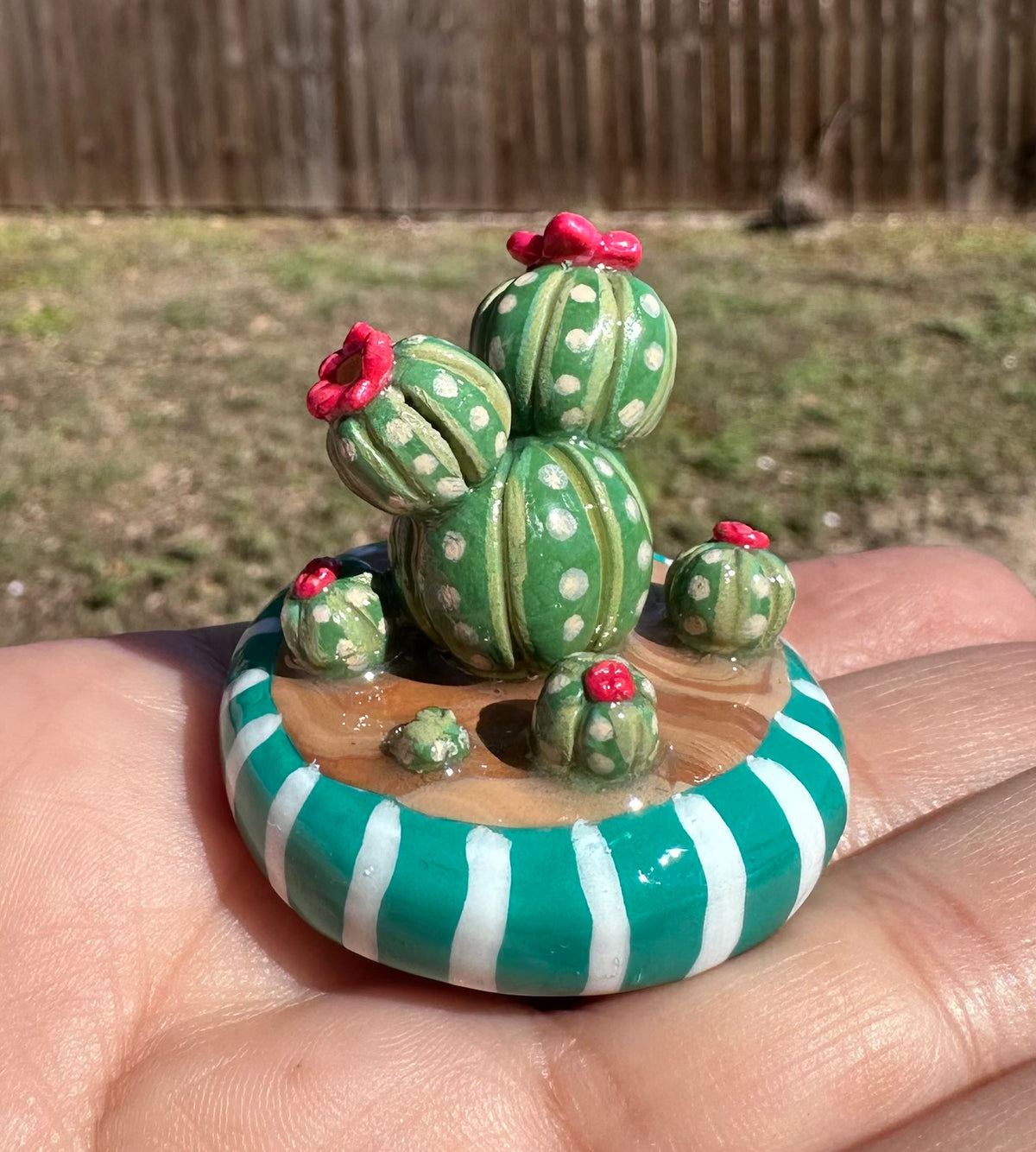 Pocket Desert